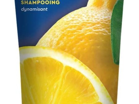 Desert Essence Italian Lemon Shampoo, 8 Fluid Ounce Online now