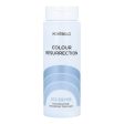 Colour-Enhancing Gel Color Resurrection Montibello ISCR Ice Silver (60 ml) Fashion