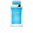 Women s Perfume Dolce & Gabbana LIGHT BLUE POUR FEMME EDP EDP 100 ml on Sale